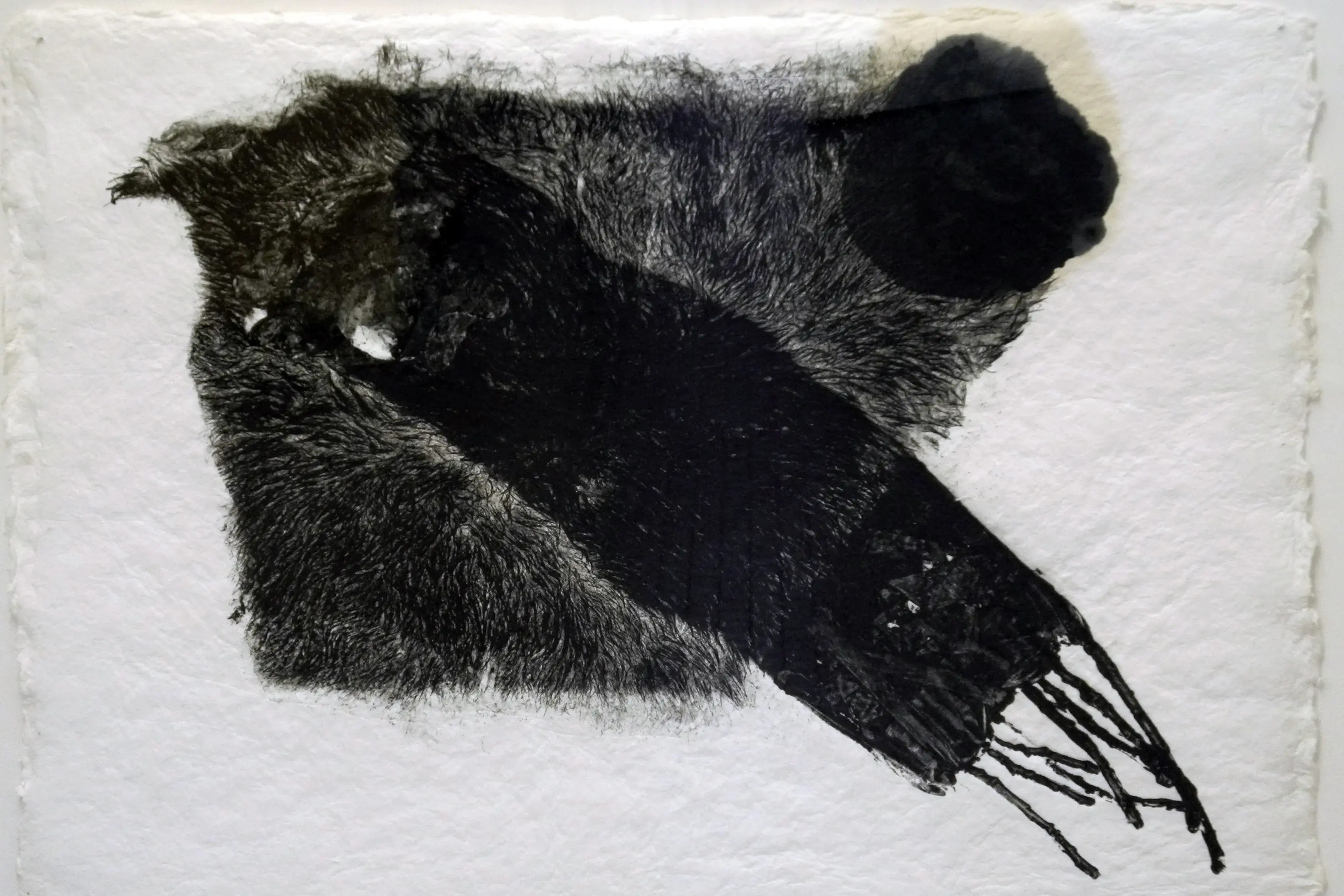 David Lynch, Etching