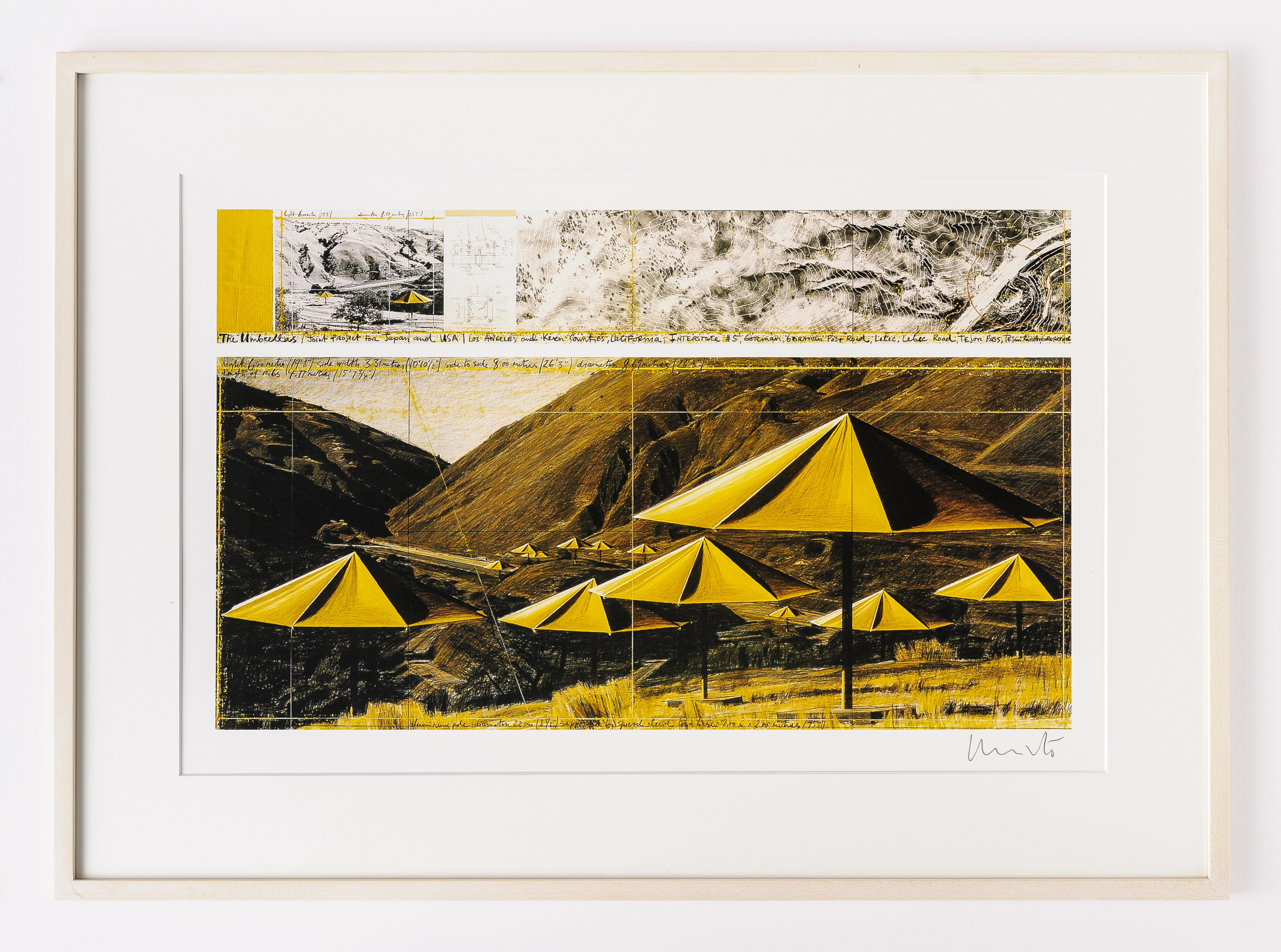 The Umbrellas, Yellow I (Japan/USA) schoeneck.ch-20200416-070-Christo_and_Jeanne-Claude-The_Umbrellas-2.jpg